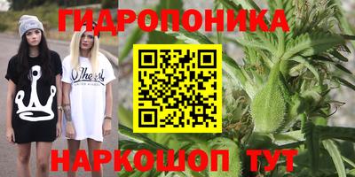 бошки Гусев