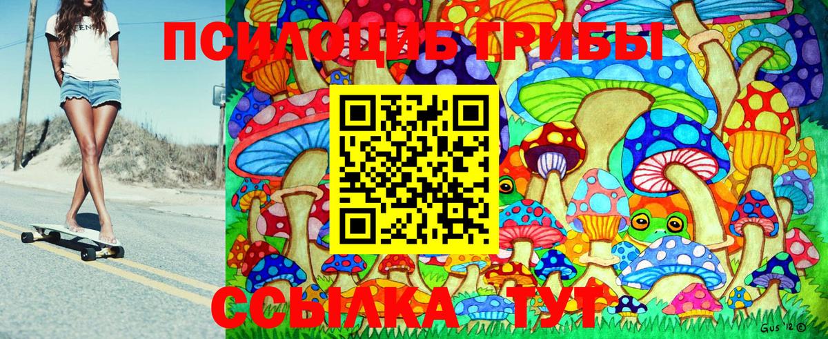 Галлюциногенные грибы GOLDEN TEACHER  Вход с VPN  магазин  наркотиков  Галлюциногенные грибы Psilocybe  Иркутск 